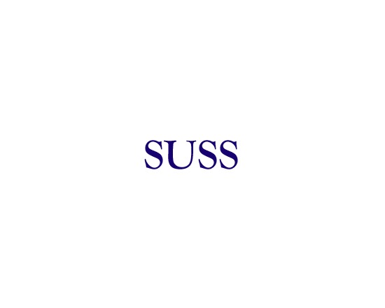 SUSS (Sunderland University SENSEVAL System)